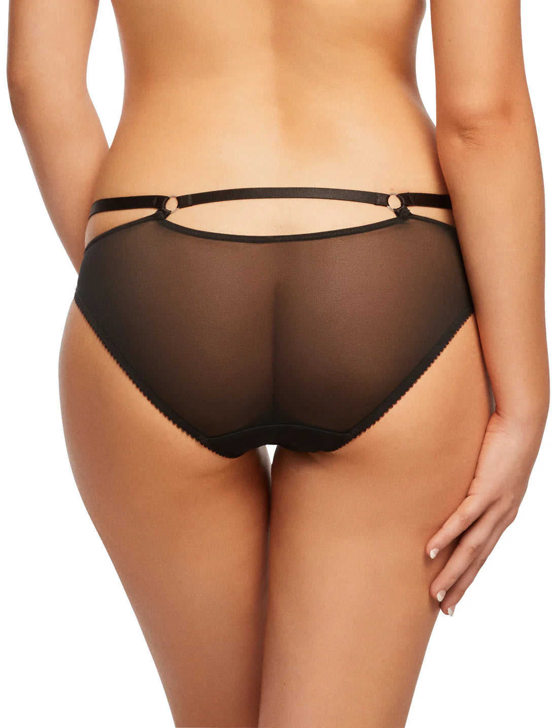 Madame X Brief